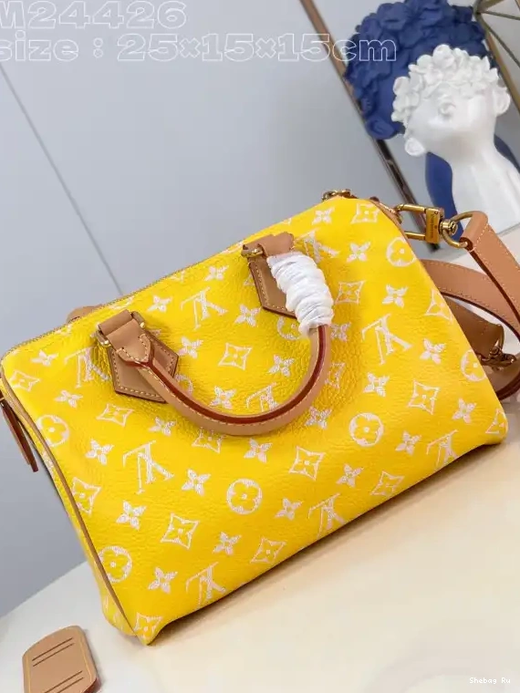 Speedy 25 P9 VUITTON Bandoulière  LOUIS 0705